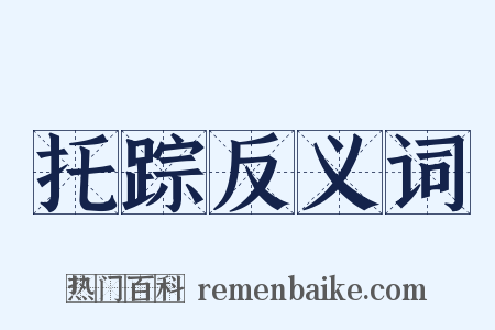 托踪反义词是什么意思的图片